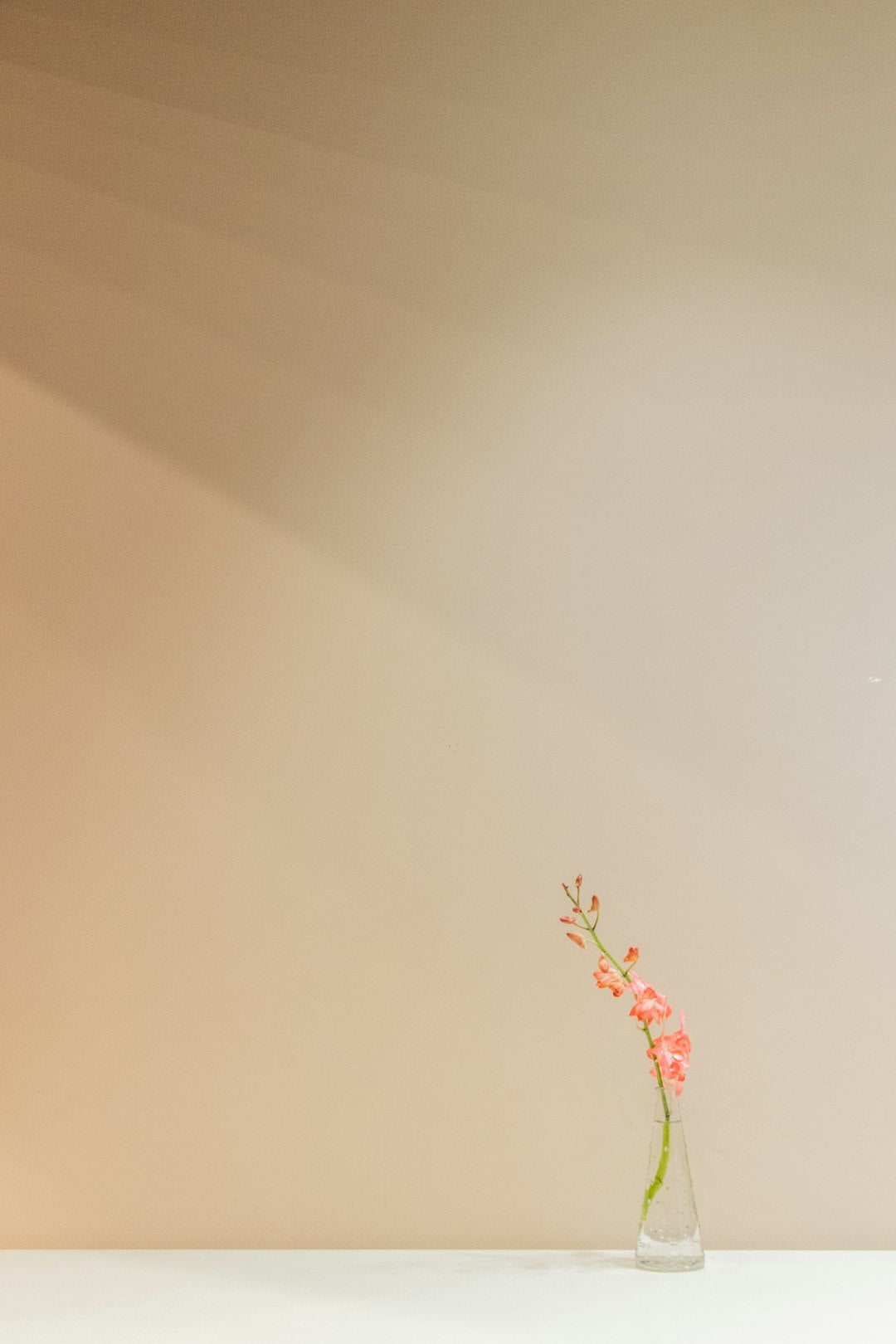 Discover the Beauty of Minimalistic Home Design