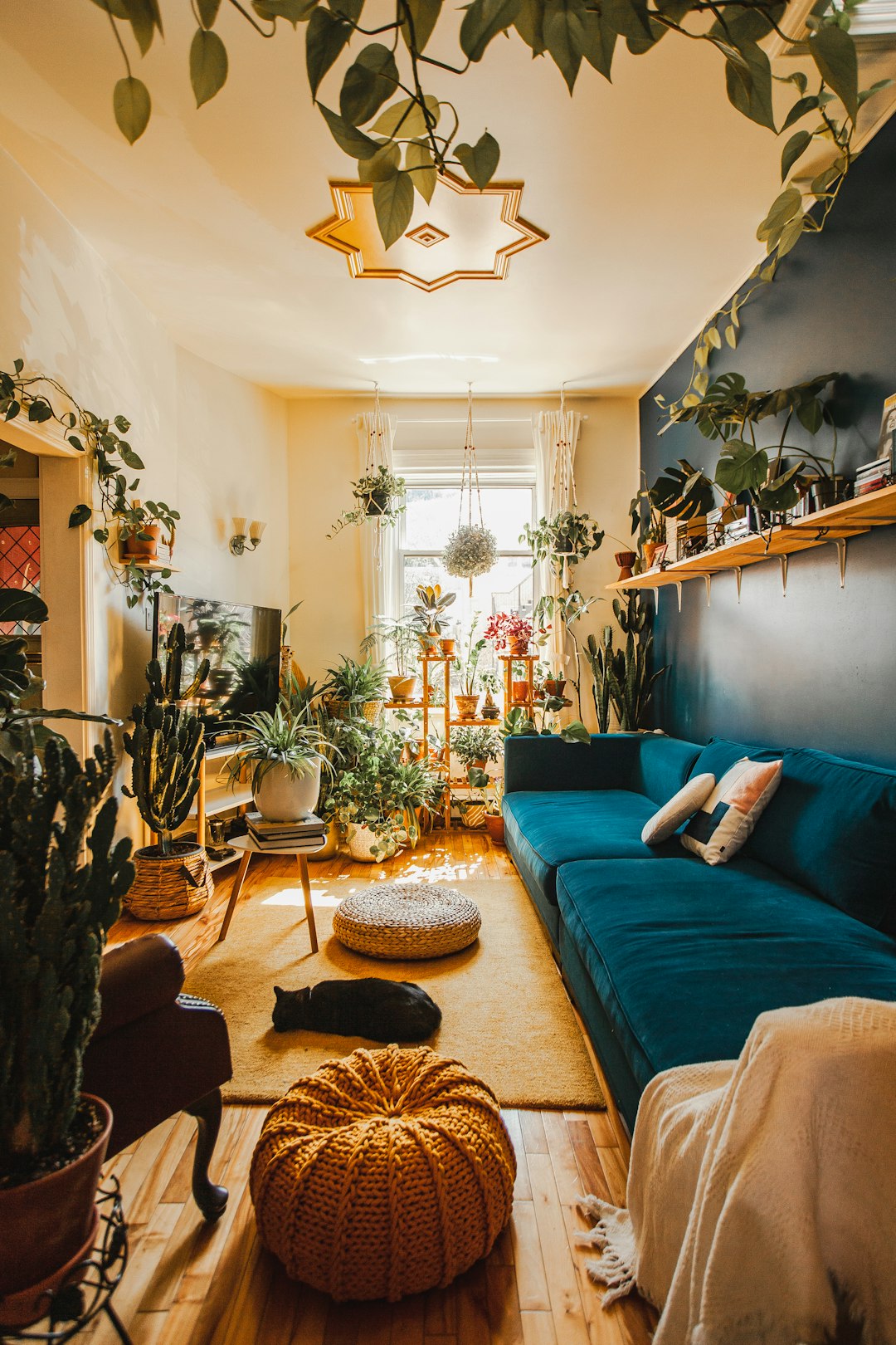 The Green Touch: Incorporating Plants into Your Home Décor