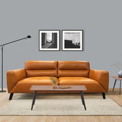 Downy Genuine Leather Sofa 2 Seater Upholstered Lounge Couch - Tangerine.
