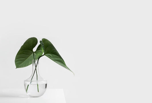 Revamp Your Kitchen Decor on a Budget
