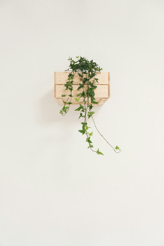 The Timeless Elegance of Scandinavian Interior Design