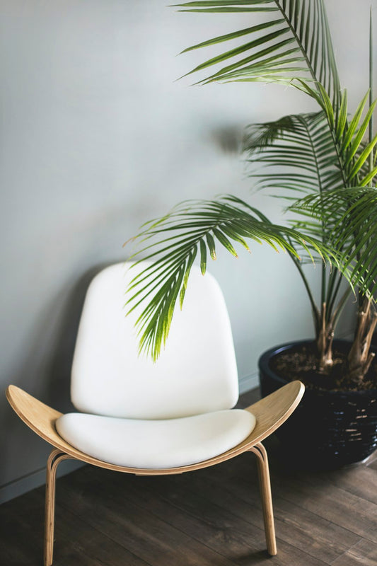 The Timeless Transformation: Exploring Home Furniture Styles Through the Decades