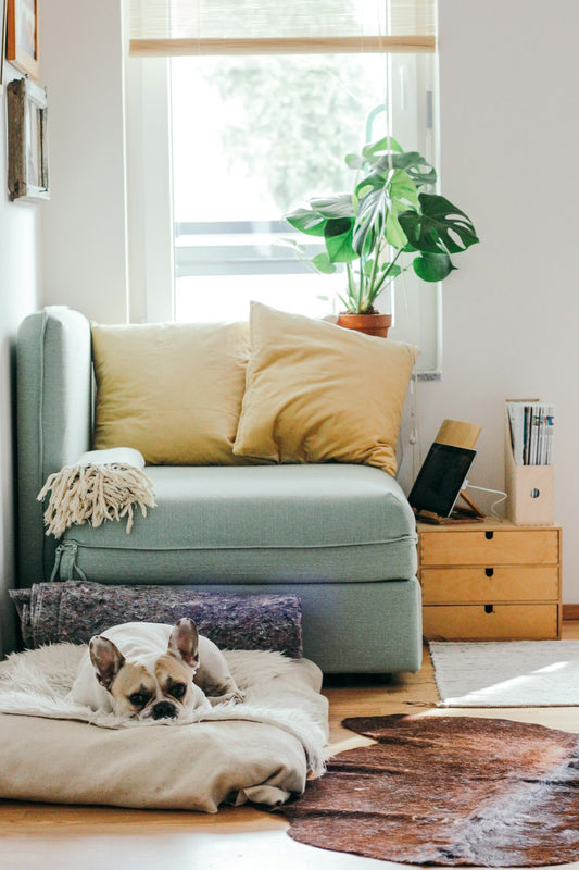 How to Create a Bohemian-Inspired Home: Embrace the Eclectic Charm!