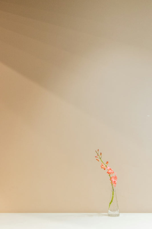 Discover the Beauty of Minimalistic Home Design