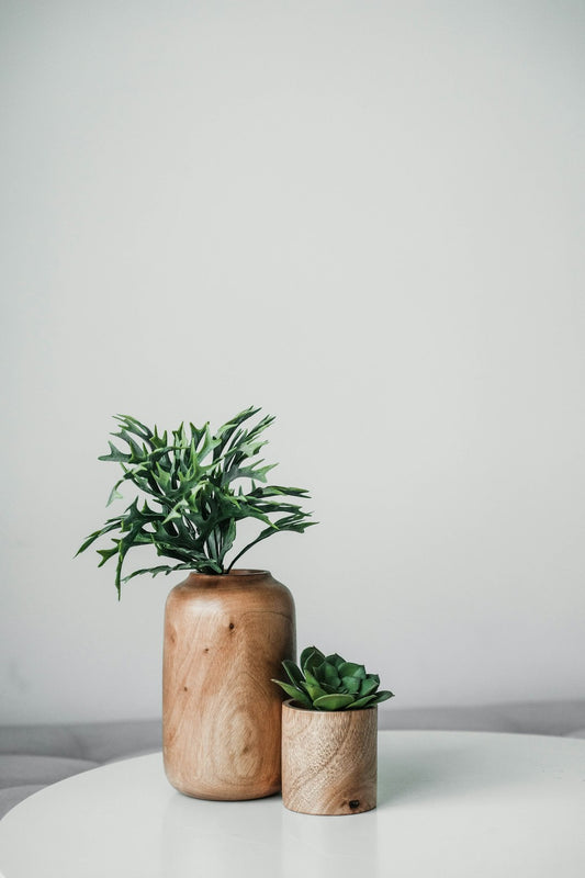 Furniture Care and Maintenance Tips: Keep Your Pieces Looking Brand New!