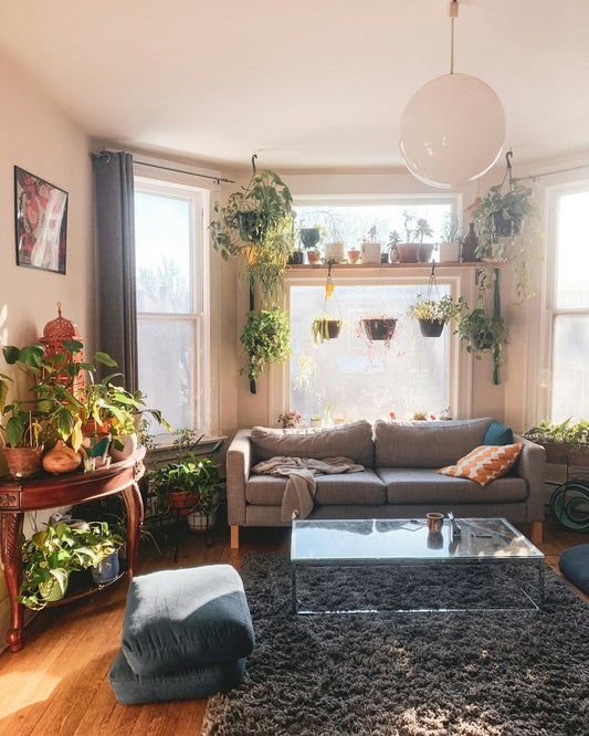Tips for Decorating Your Home on a Budget