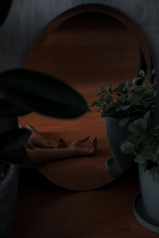 Transform Your Space: Embrace the Beauty of Plants in Home Décor