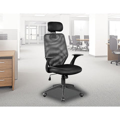 Ergonomic Mesh Office Chair