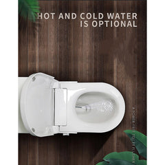 Non Electric Bidet Toilet Seat W/ Cover Bathroom Washlet Spray Water Wash